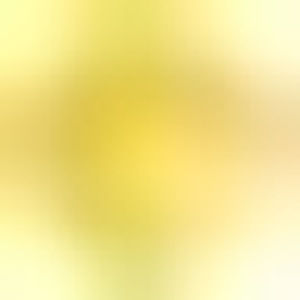 Meet your Posher, Zoe